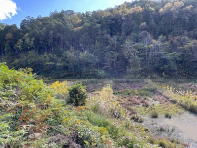 【周辺】 | 丹波篠山市小田中　土地