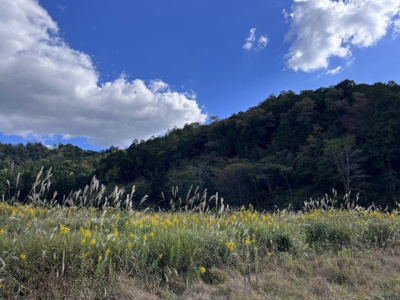 【外観】 | 丹波篠山市小田中　土地