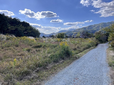【外観】 | 丹波篠山市小田中　土地