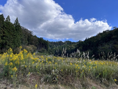 【外観】 | 丹波篠山市小田中　土地