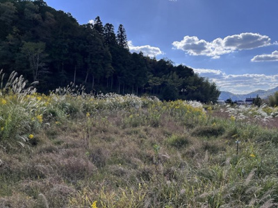 【外観】 | 丹波篠山市小田中　土地