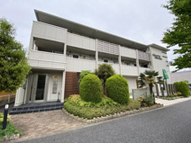 ピュアグレインの画像