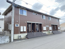 Pino（ピーノ）の画像