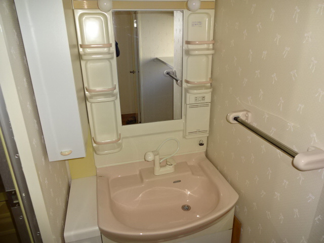 デュプレックス船場の洗面所