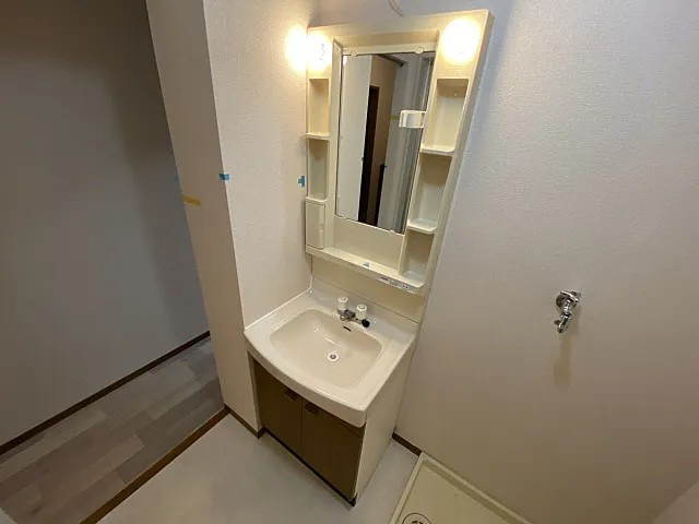シャルマン岩屋の洗面所