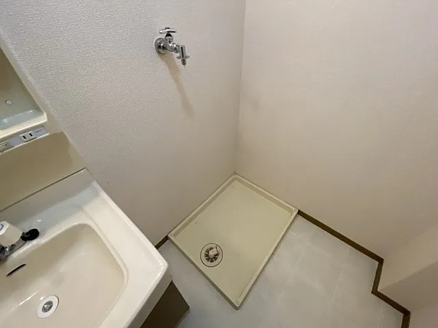 シャルマン岩屋の洗面所