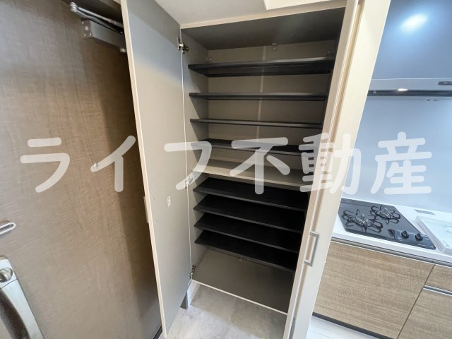 スプランディット高井田の収納|大きなスペースがあり、収納には困りません