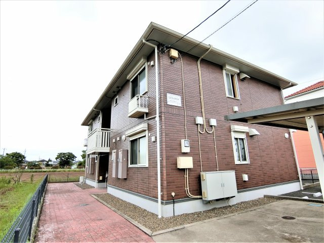 Carinopenseeの外観