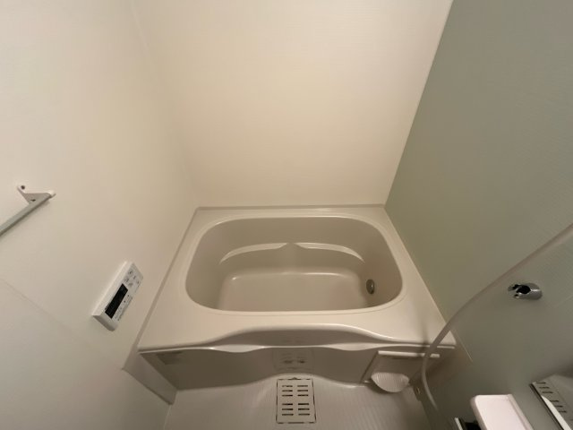 ジュネス　エレガンシアの浴室