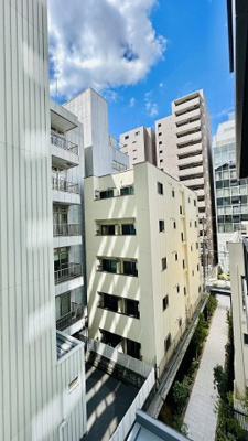 【展望】 | セリーニオルニス