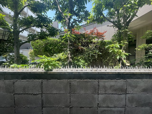 【展望】 | バイカーズハウス大今里南