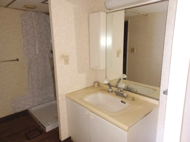 パークタウン五領第6団地 ６号棟 （403号室）の独立洗面台