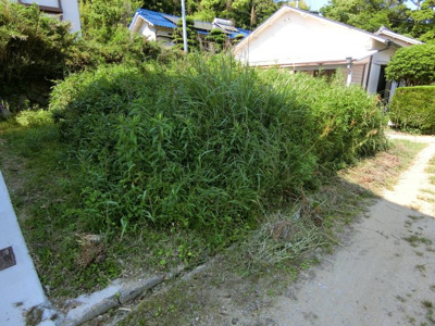 【外観】 | 千草売土地　50万円
