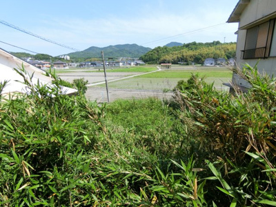 【周辺】 | 千草売土地　50万円
