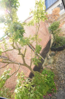 【庭】 | 東大阪市上四条町　中古戸建駐車場１台付き