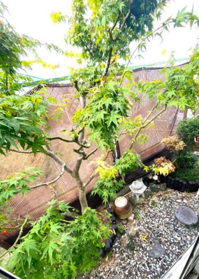 【庭】 | 東大阪市上四条町　中古戸建駐車場１台付き