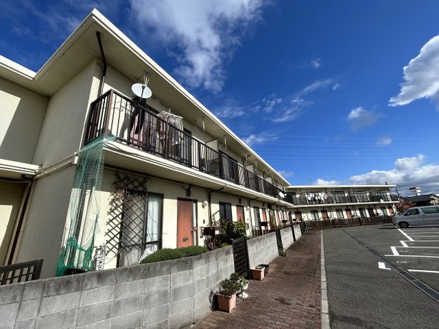 赤石パルメゾン