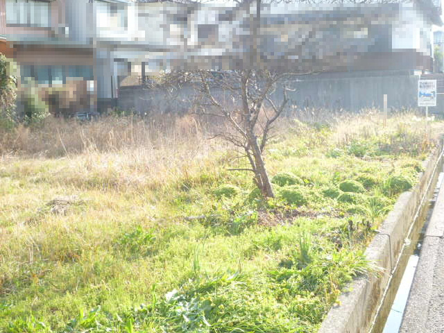 吾川郡いの町枝川　売土地の外観