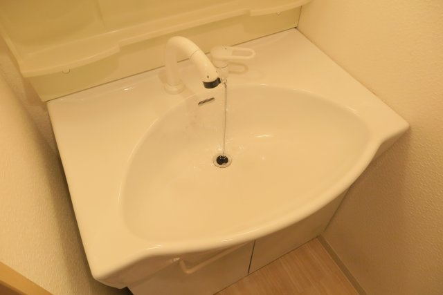 アプライズ西長堀の洗面所