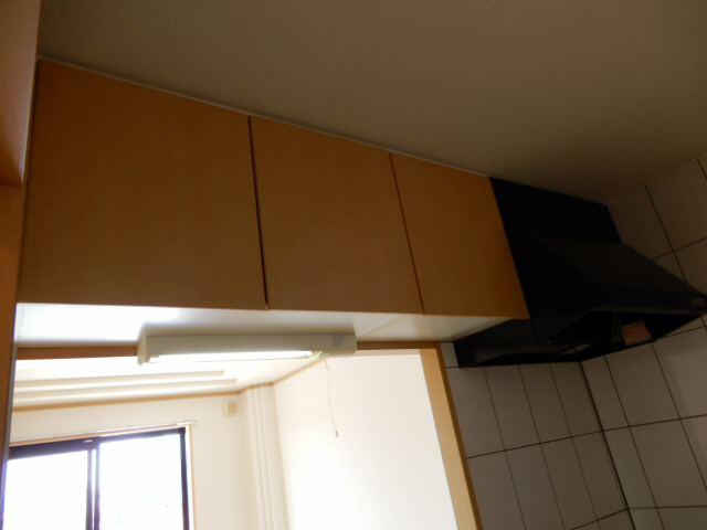 マウントック・レオのその他