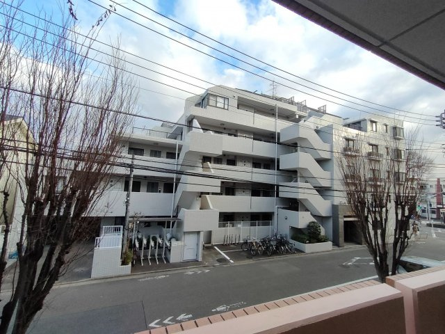 フレイグラントオリーブの展望