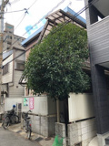 セイワマンションの画像