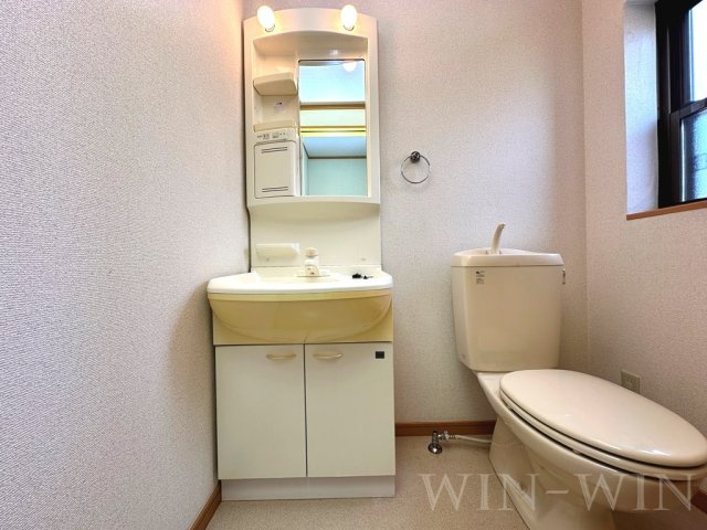 ミューズイン花中 Aの洗面所