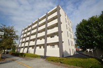 Bella Luce　B(ベラ・ルーチェ　B)の画像