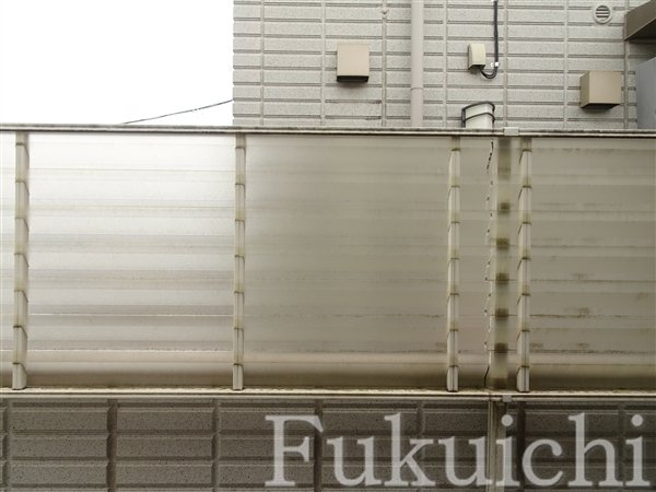 ヴィオーラ学芸大の展望