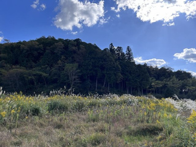 【外観】 | 丹波篠山市小田中　土地1　