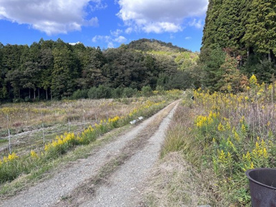 【外観】 | 丹波篠山市小田中　土地1　