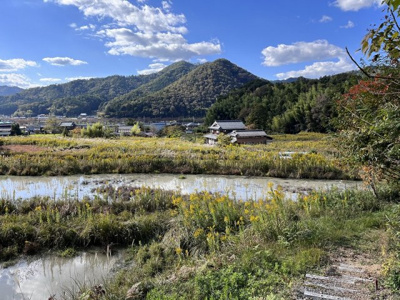 【周辺】 | 丹波篠山市小田中　土地1　