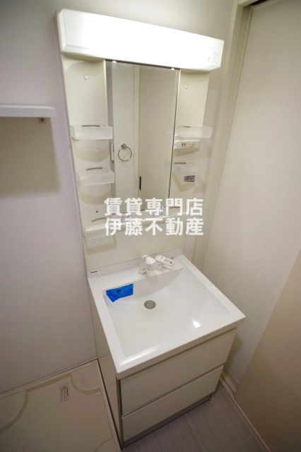 メゾン生駒町の洗面所