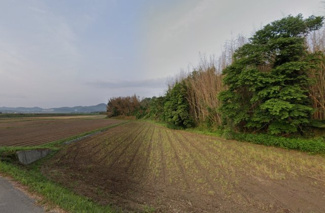 【外観】 | 加西市中野町　山林