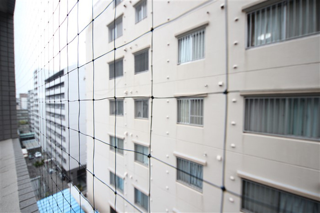 【展望】 | 南堀江プライマリーワン