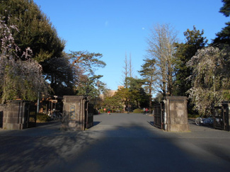 大学