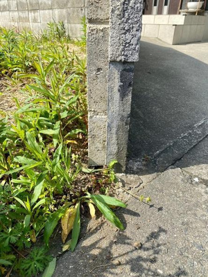 【周辺】 | 北長瀬本町◇建築条件なし土地