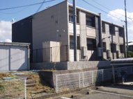 クレイノフェリスの画像