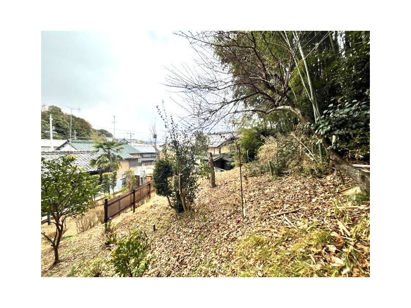 【庭】の画像