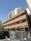JC SOUTH SHIKI 2932の画像