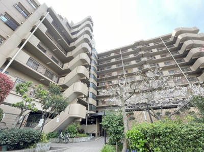 【外観】 | エクセランス堺東　5階 | 春には桜も楽しめます。