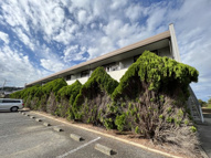 クレインヒルなぎさの画像