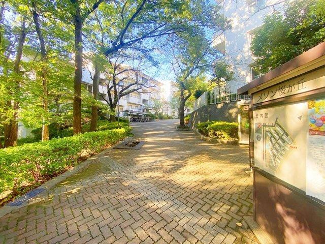 グリーンライン「都筑ふれあいの丘」メゾン桜が丘11号棟 の画像