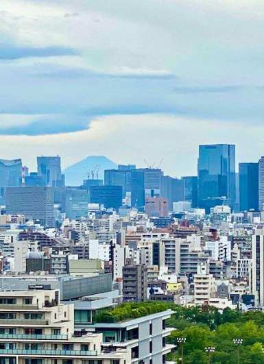 プラウドタワー亀戸の展望