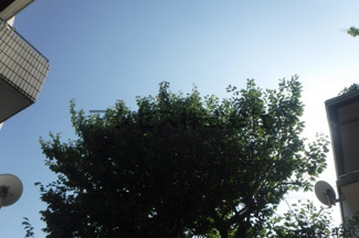 【展望】 | ※同建物別室、参考写真