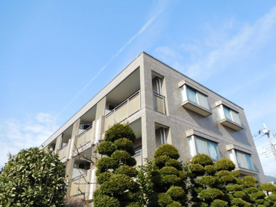 【外観】 | スカイパレス光が丘A棟