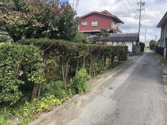 【前面道路含む現地写真】