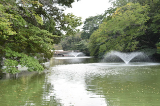 井の頭恩賜公園まで650ｍ