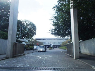 大学