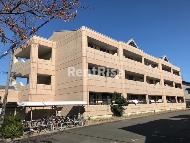 ジョイ コート